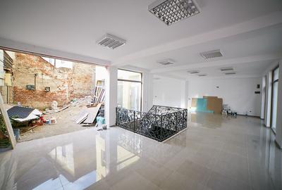 PREȚ REDUS CU 60.000 EURO - Cladire lângă Teatrul de Stat - 10