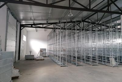 Spațiu industrial, 598 mp în Șagului