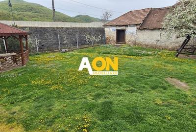 Casa 150 mp Teren 1715 mp Ampoita - 19