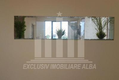 Casa individuala | Pensiune | 560 mp | 1450 mp teren | Cetate - 8