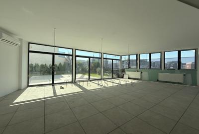 Penthouse cu gradina proprie - 4