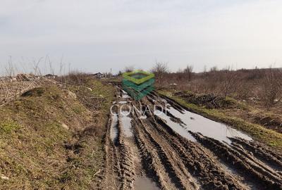 Teren pentru dezvoltare rezidentiala in Tartasesti - 14