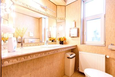 Dumbrăvița, la intrare – casă exclusivistă ideală locuință sau birou - 11