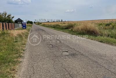 Teren extravilan 7.200mp, Bogdanesti-Horlesti, deschidere la 2 drumuri - 2