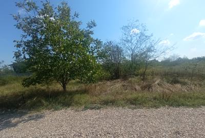 Teren 100Omp, Clinceni, Str Rozelor - 4