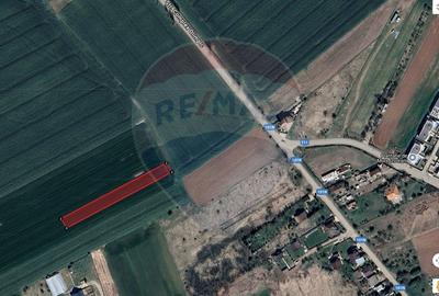 Investiție Izvorani: 1.858 mp lângă Pădurea Snagov. Acces Rapid! - 3