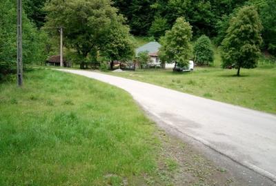 Casa, teren si padure de vanzare-40.000 mp, direct proprietar in Apuseni. - 1