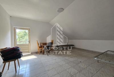 Casa de vanzare, potential pensiune, pe malul Timisului,Sag,comision 0 - 15