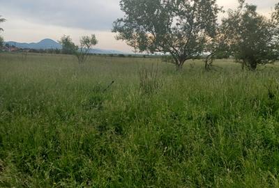 Teren intravilan Rasnov - 3