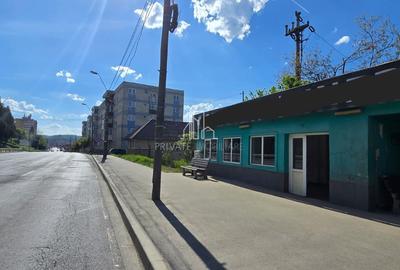 Spatiu comercial de vanzare, Sighisoara - 2