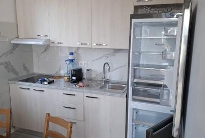 Afacere la cheie casa, vila, zona Therme,Aeroport - 6