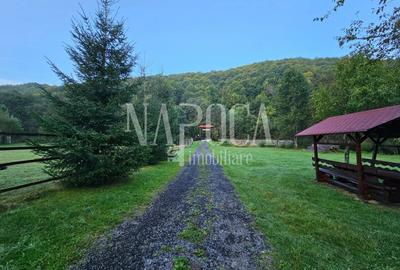 Casa 19 camere de vanzare in Margau - 25