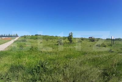 Teren intravilan 31.000 mp, zona Hanul Doctorului - 1