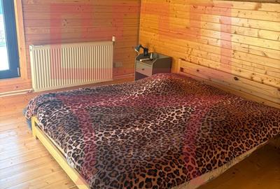 Cabana Belis in apropierea asfaltului cu panorama superba asupra Belis - 13