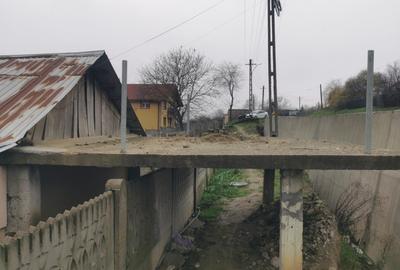 De vanzare casa in Argetoaia cu teren 7.000 mp - 3