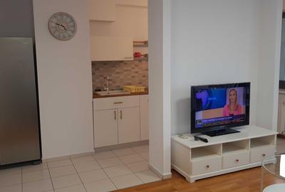 Inchiriere Apartament-2 camere-Monaco Tower-Sos.Berceni - 4