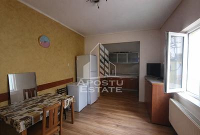 Casa individuala cu 5 camere Calea Lipovei - 10