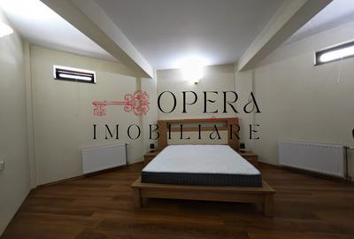 Vila individuala deosebita, de vanzare, zona Popas Pacurari - 13