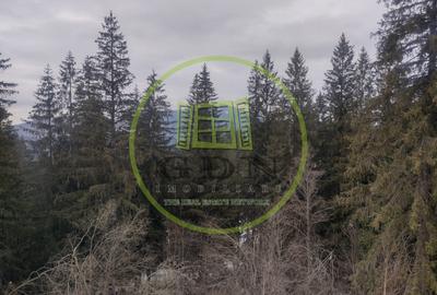 Apartament 2 camere Predeal | decomandat | zonă exclusivistă | vedere pădure - 11