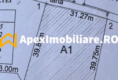 Comision 0% Cumparator | Teren Intravilan 1246 mp Berceni Giurgiului | Bucuresti - 1