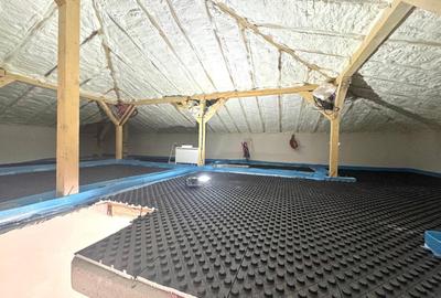 Duplex pe parter - 3 camere - teren generos -  Sacalaz - 8