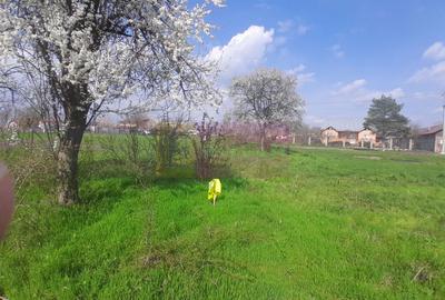 DE VANZARE TEREN 3400 MP IN SAT PODU ILFOVAT / COM BUTURUGENI (GR) - 27