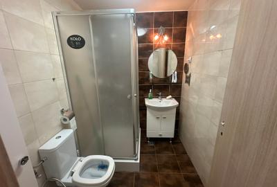 Apartament de 4 camere-Bd. Ferdinand/4-Room Apartment on Ferdinand Bvd. - 10