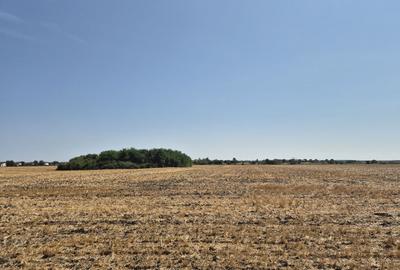 Teren Construcții intravilan de 4428 mp, în Balotești