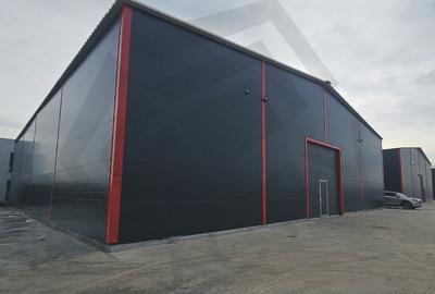Spațiu industrial, 595 mp în 23 August (Cațelul)