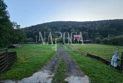 Casa 19 camere de vanzare in Margau - 11