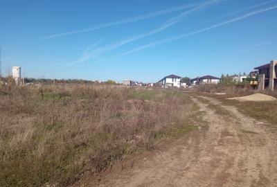 Teren Intravilan 450mp Str Mesteacanuui - 7