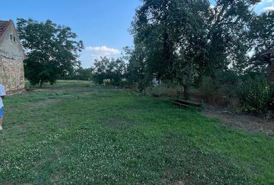 TEREN INTRAVILAN | SACOSUL TURCESC | 2624 MP | COMISION 0%!!! - 1