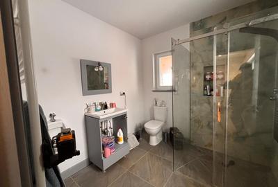 Casa Individuala Arcalia 15km de Bistrita - 10