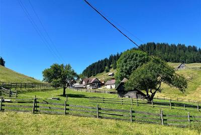 TEREN INTRAVILAN, 1380MP, FUNDATA - 4
