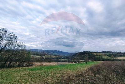 Teren cu panorama superba în Berchezoaia + bonus rulota - 10