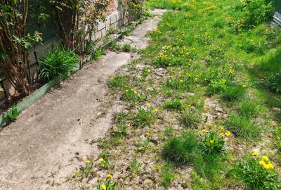 Casa 4 camere libera la vanzare RASNOV - zona Florilor - 19