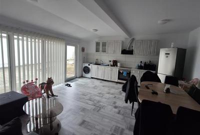 Casa formata din 2 apartamente pivnita zona Turnisor - 4