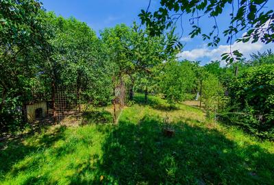 Casă P+1 din cărămidă, 683 mp teren, 4 garaje – Strada Zorilor - 13