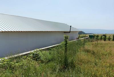 Oportunitate: teren extravilan Cluj, 4527 mp, apa, curent, pret 18 Eur/mp - 9