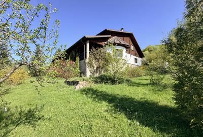 Refugiu Slanic Prahova, Casa cu 5.2 Ha, Panoramă,  Natura & Potențial Turistic - 36