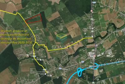 Corbeanca- Teren 45 Ha cu PUZ aprobat - 5