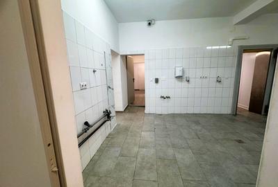 Spatiu cu alta destinatie Lipovei !!! - 4