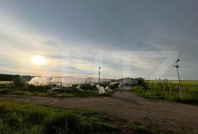 Teren partial intravilan 23.500 mp, apa, curent si supraveghere video, Bucovat - 1