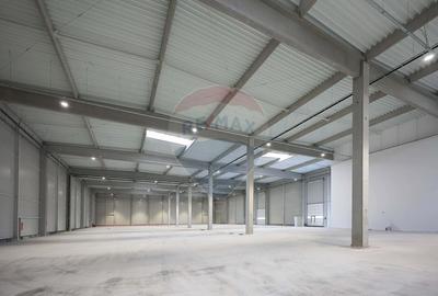Hală de vânzare, Sc 7014mp, Zona Biharia - 13