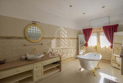 Vila,Piscina,teren fotbal,gradina,vegetatie - 3