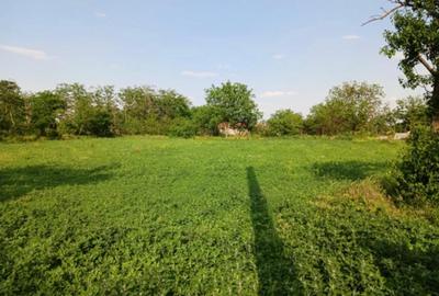 Teren intravilan sat Caltuna Smeeni BZ suprafata 3580mp deschidere 50m - 5