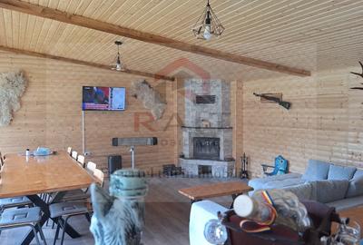 Casa Vacanta Rucar Saticu de Jos Arges - 15