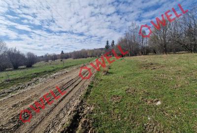 De vânzare teren extravilan în localitatea Brădet! - 11
