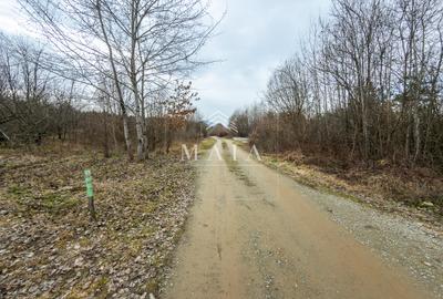 Teren extravilan 2200 mp, zona Calea Poplăcii, la 5 min de Valea Aurie - 4