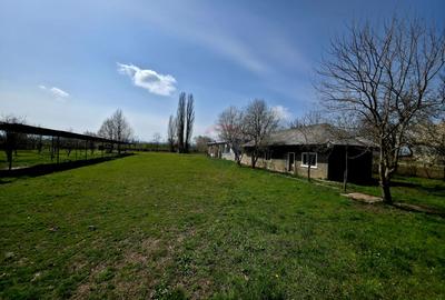 Spațiu industrial de 400mp de vânzare - 10